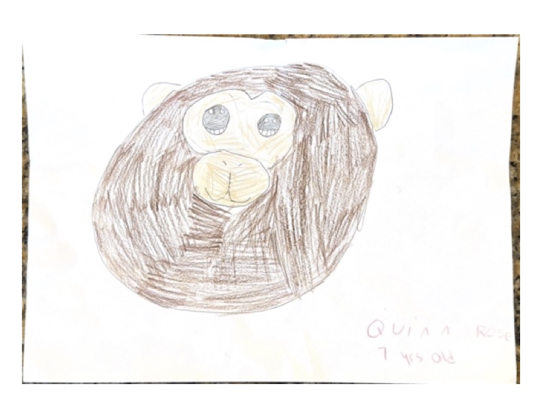 netherland dwarf lakewood ranch florida