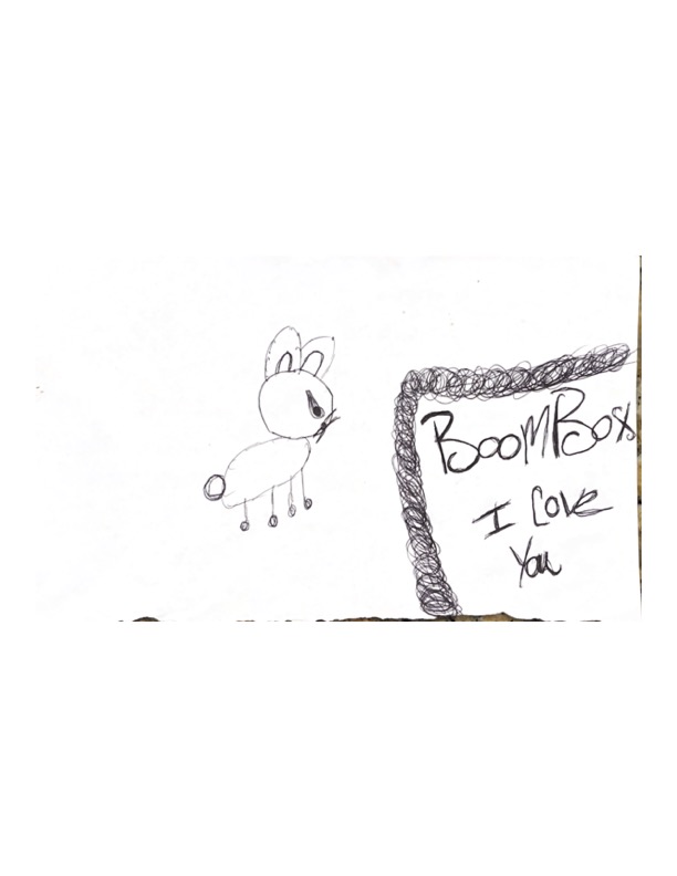 netherland dwarf lakewood ranch florida