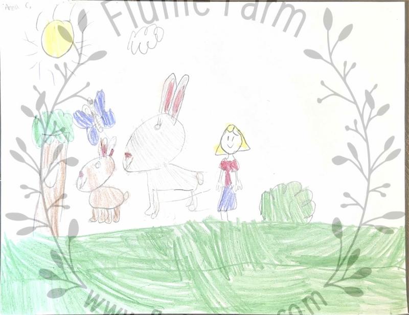 netherland dwarf near me in florida