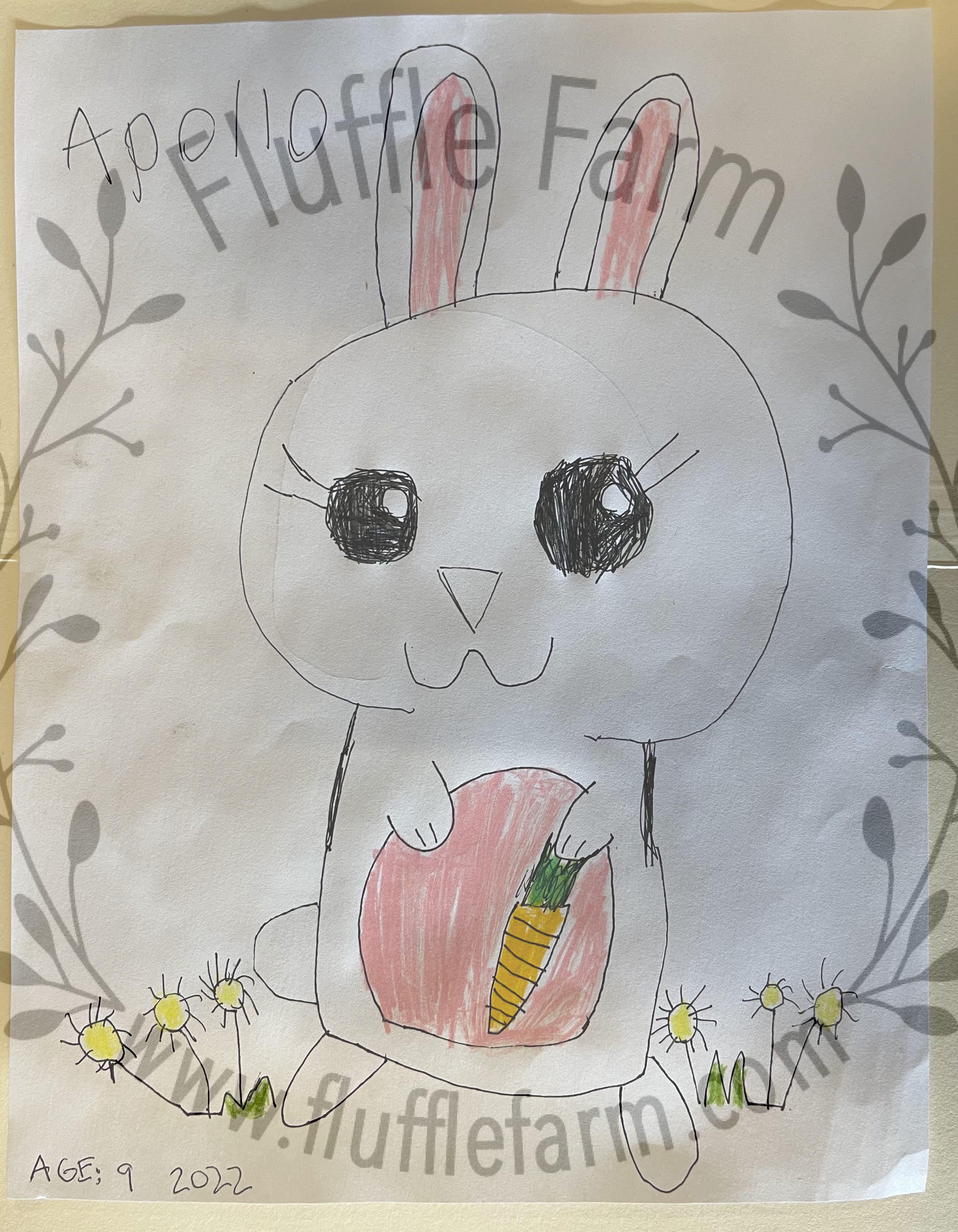 lionhead in bradenton florida