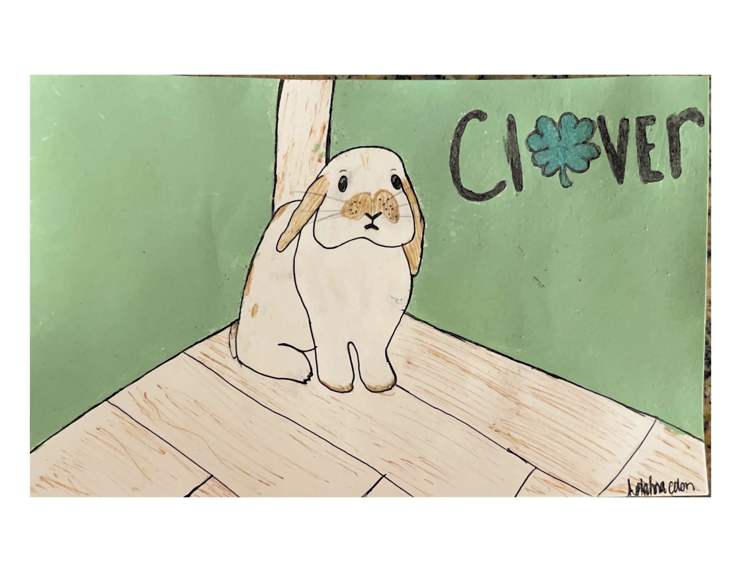 lionhead in bradenton florida