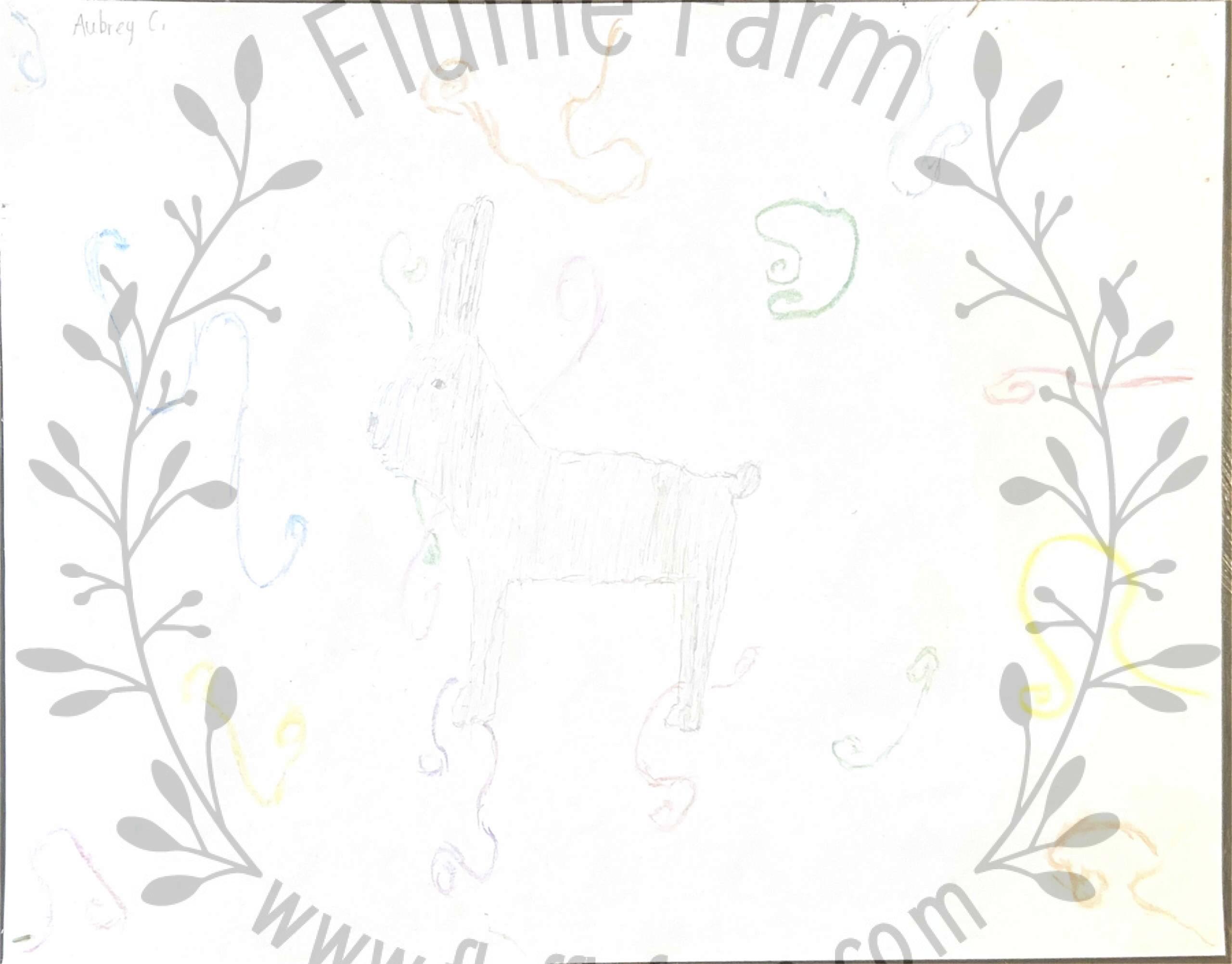 holland lops near me in florida