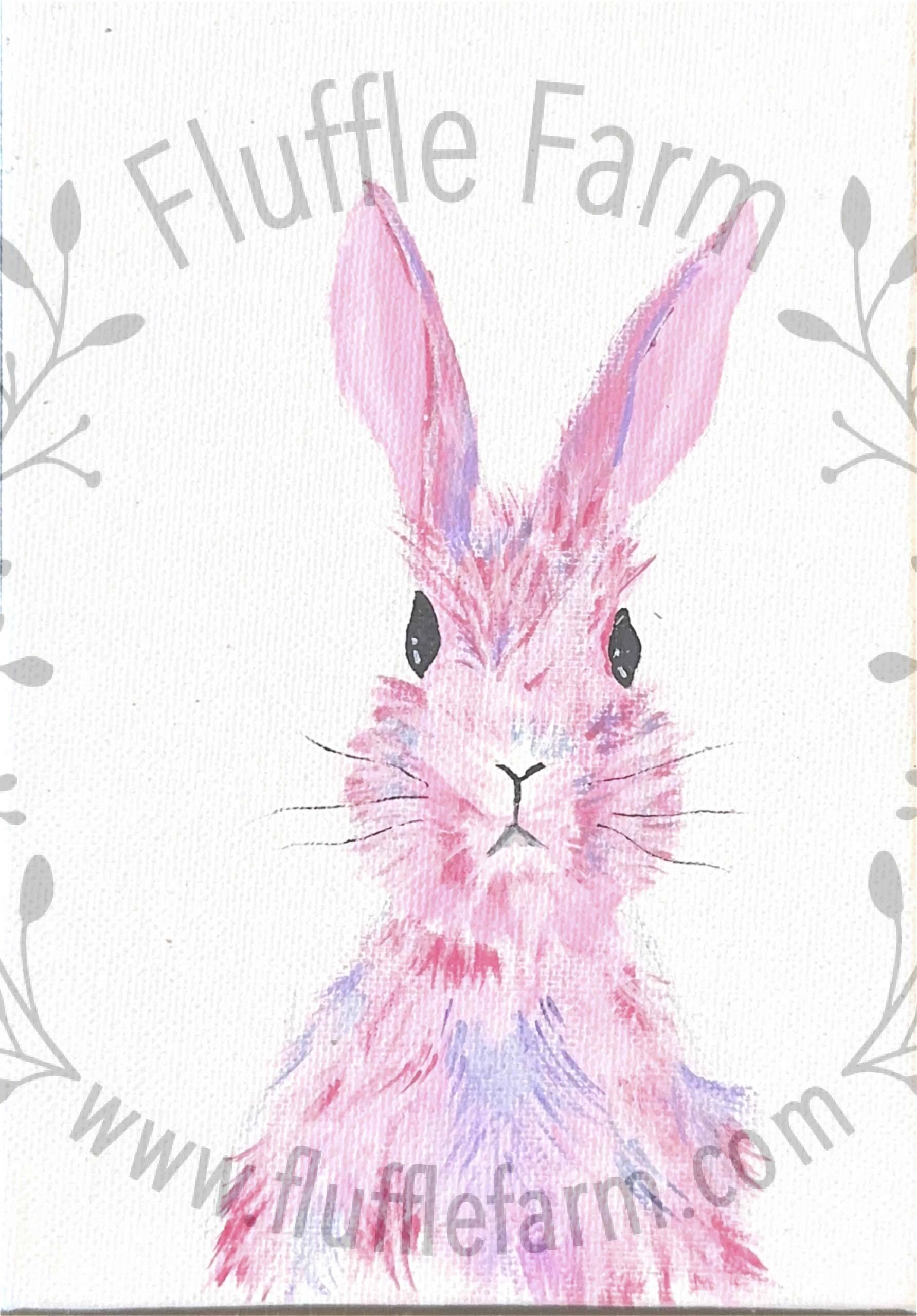 holland lops near me in florida