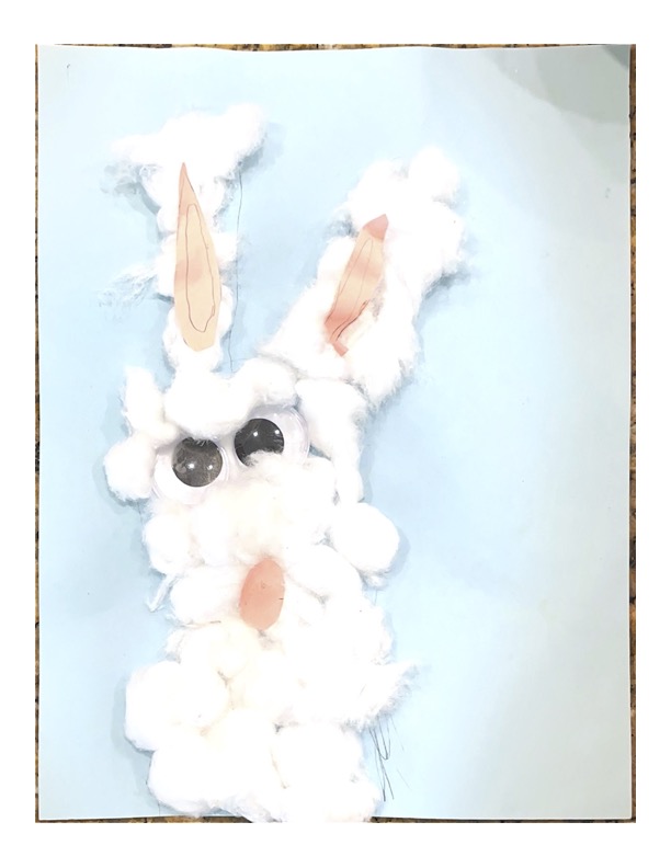 netherland dwarf in bradenton florida