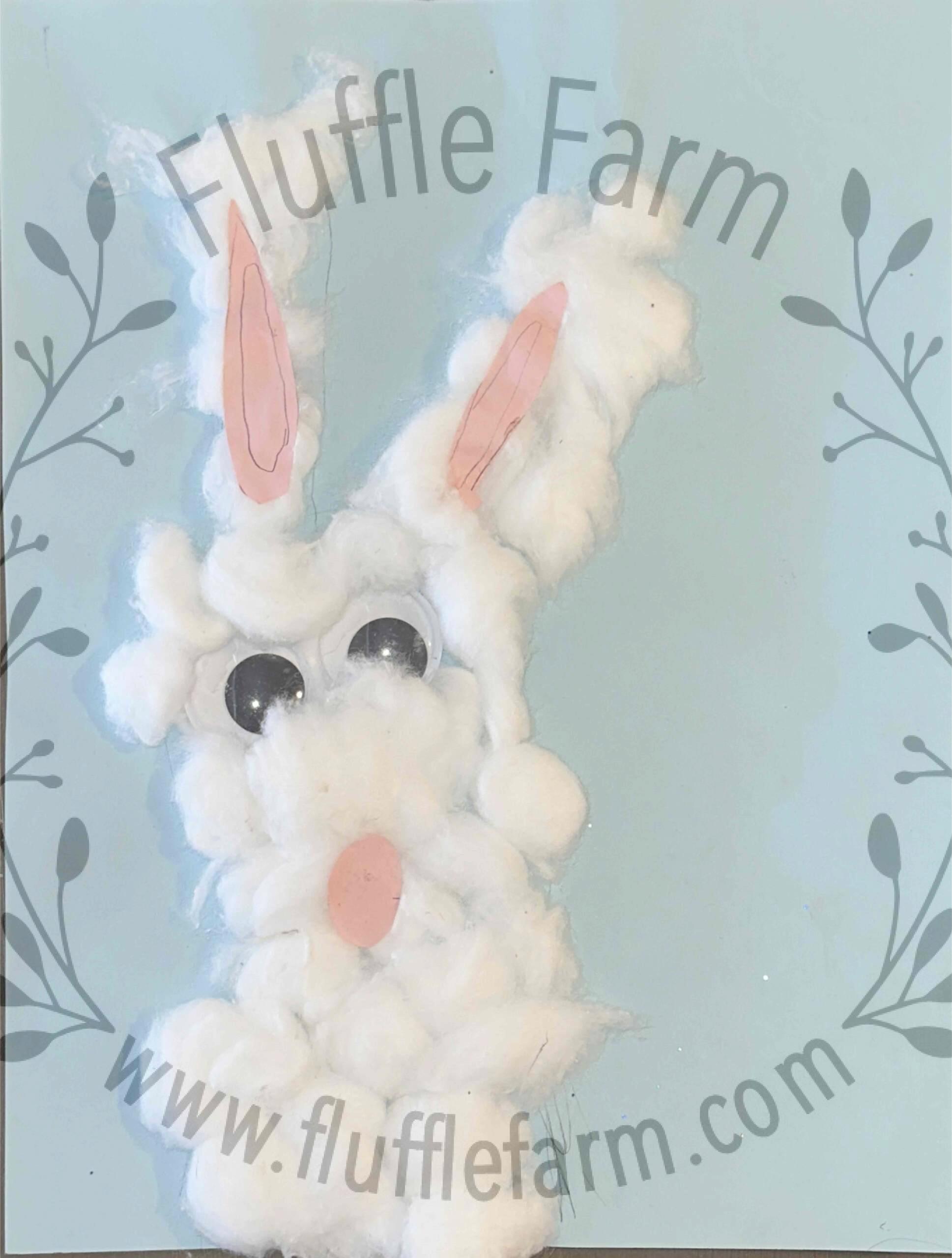 netherland dwarf near me in florida