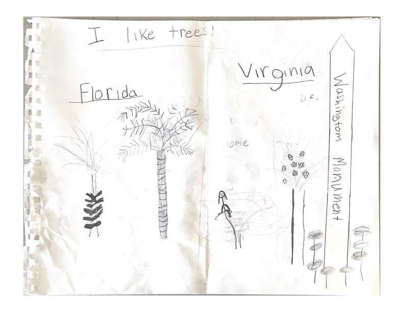 lionlop in bradenton florida