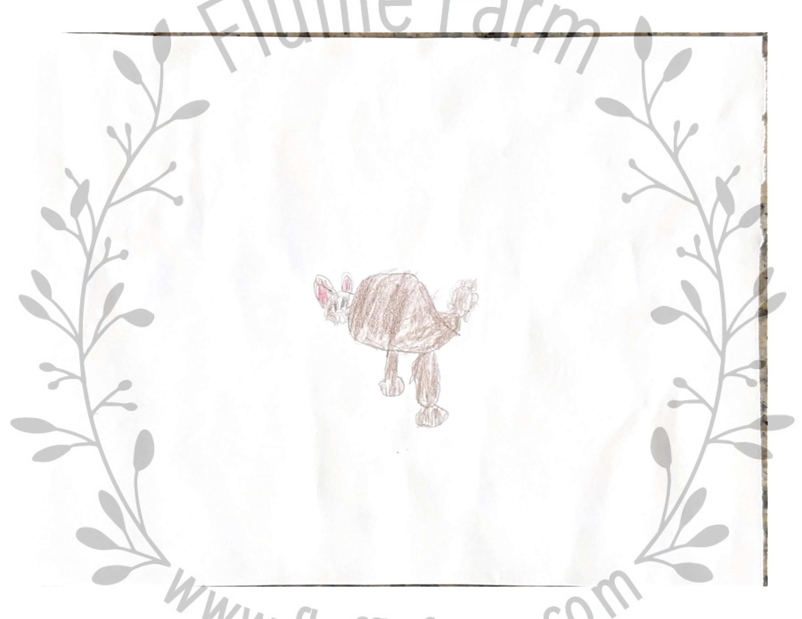 holland lop bunny in lakewood ranch florida