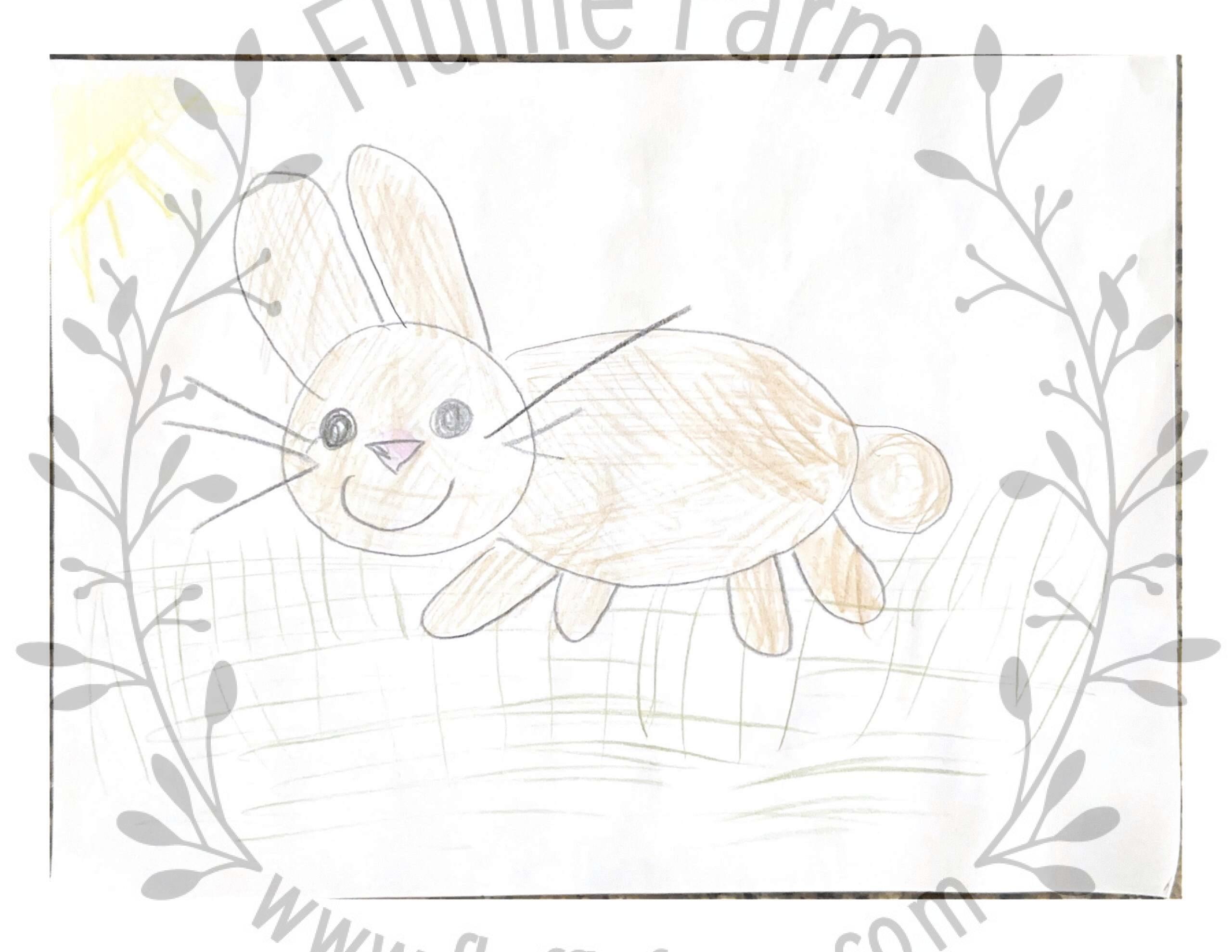 netherlands dwarf bunny in lakewood ranch florida