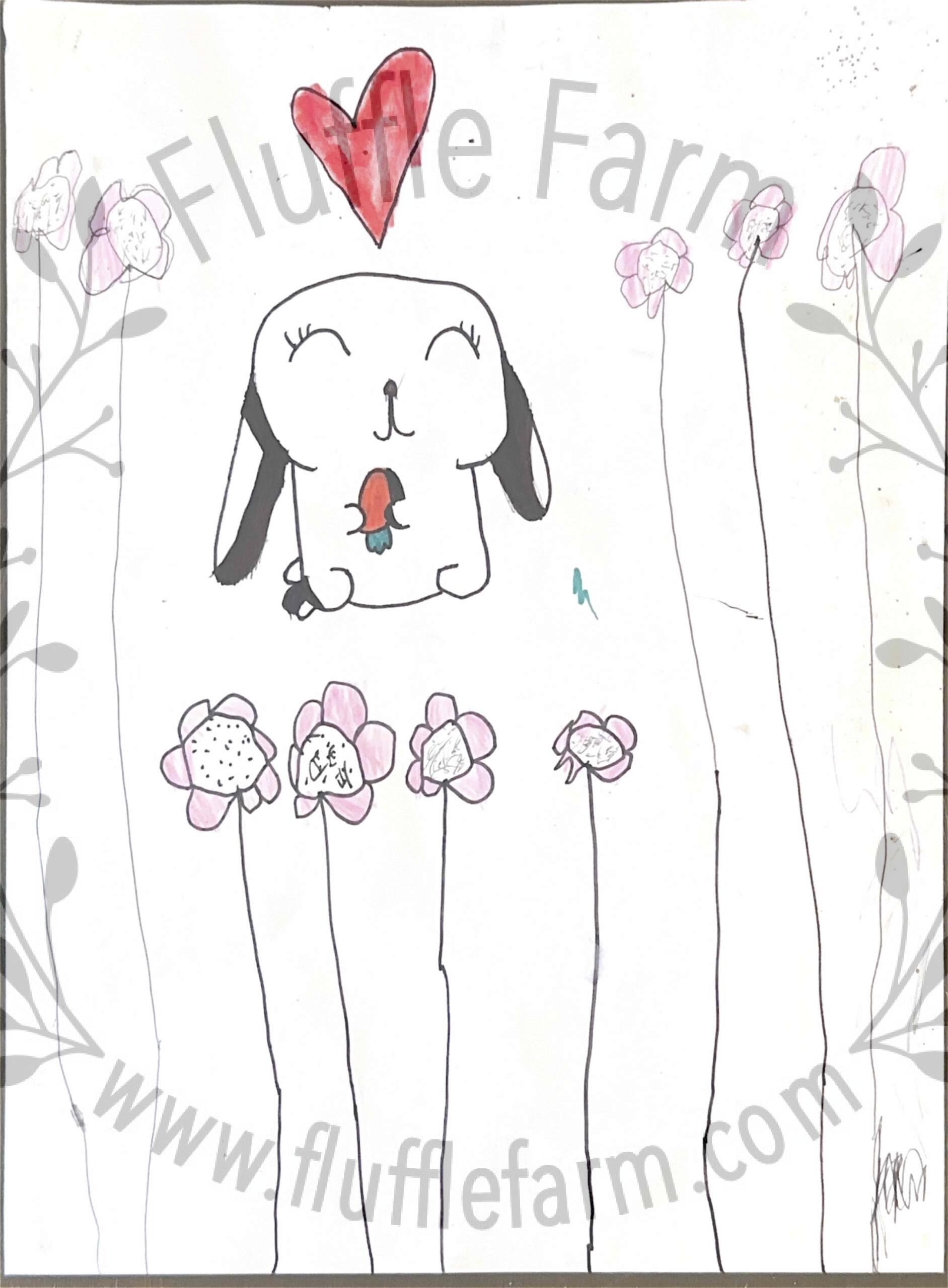 netherland dwarf near me in florida