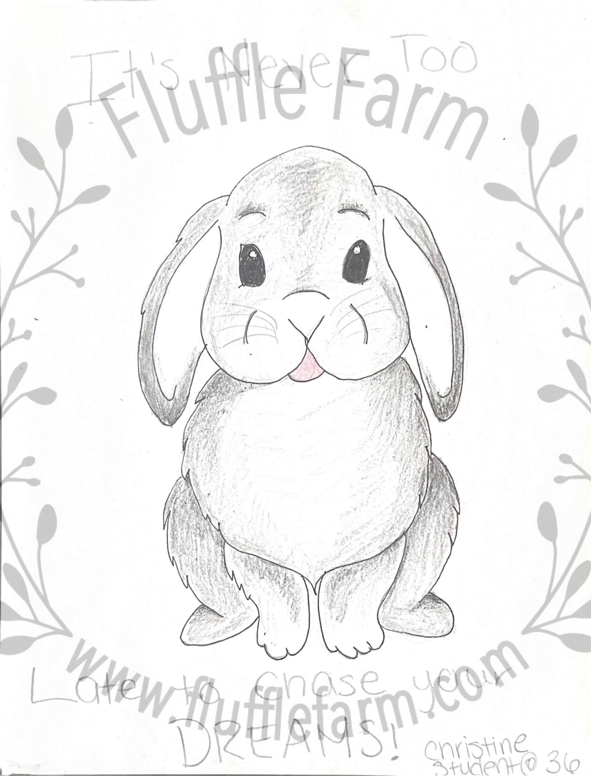 netherland dwarf near me in florida