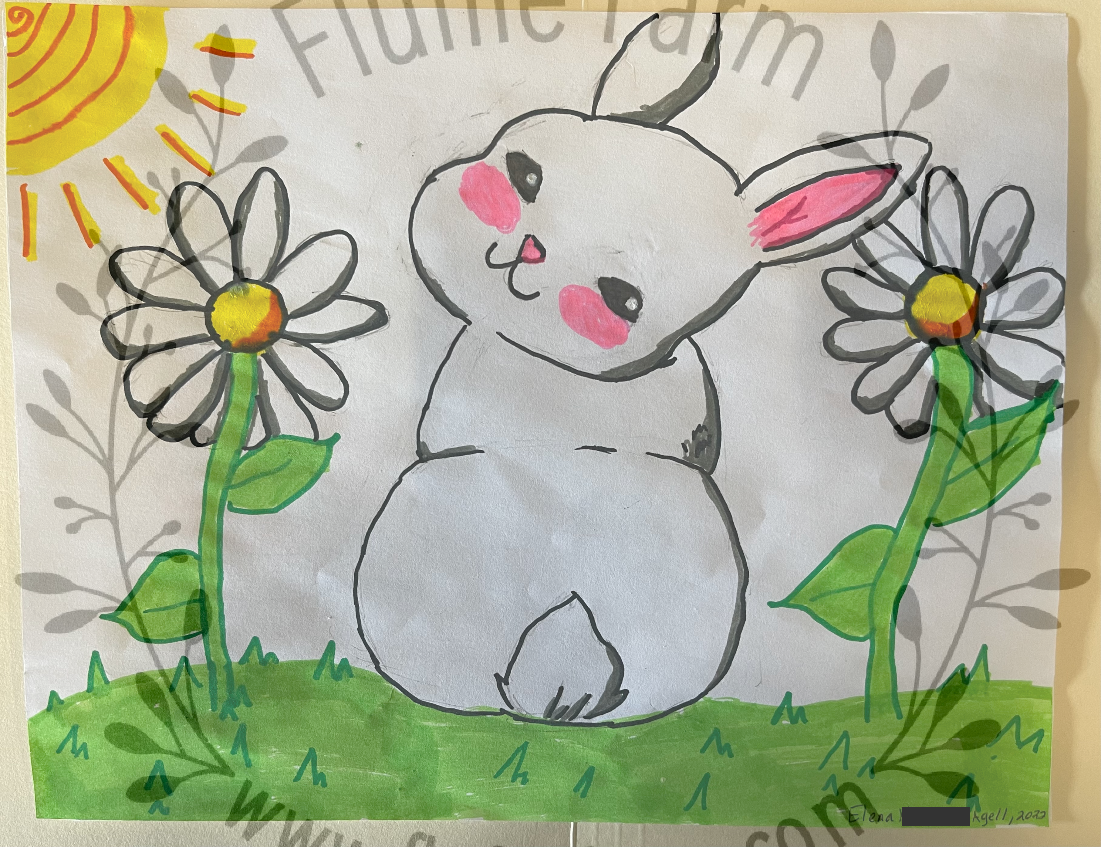 lionhead bunny in lakewood ranch florida