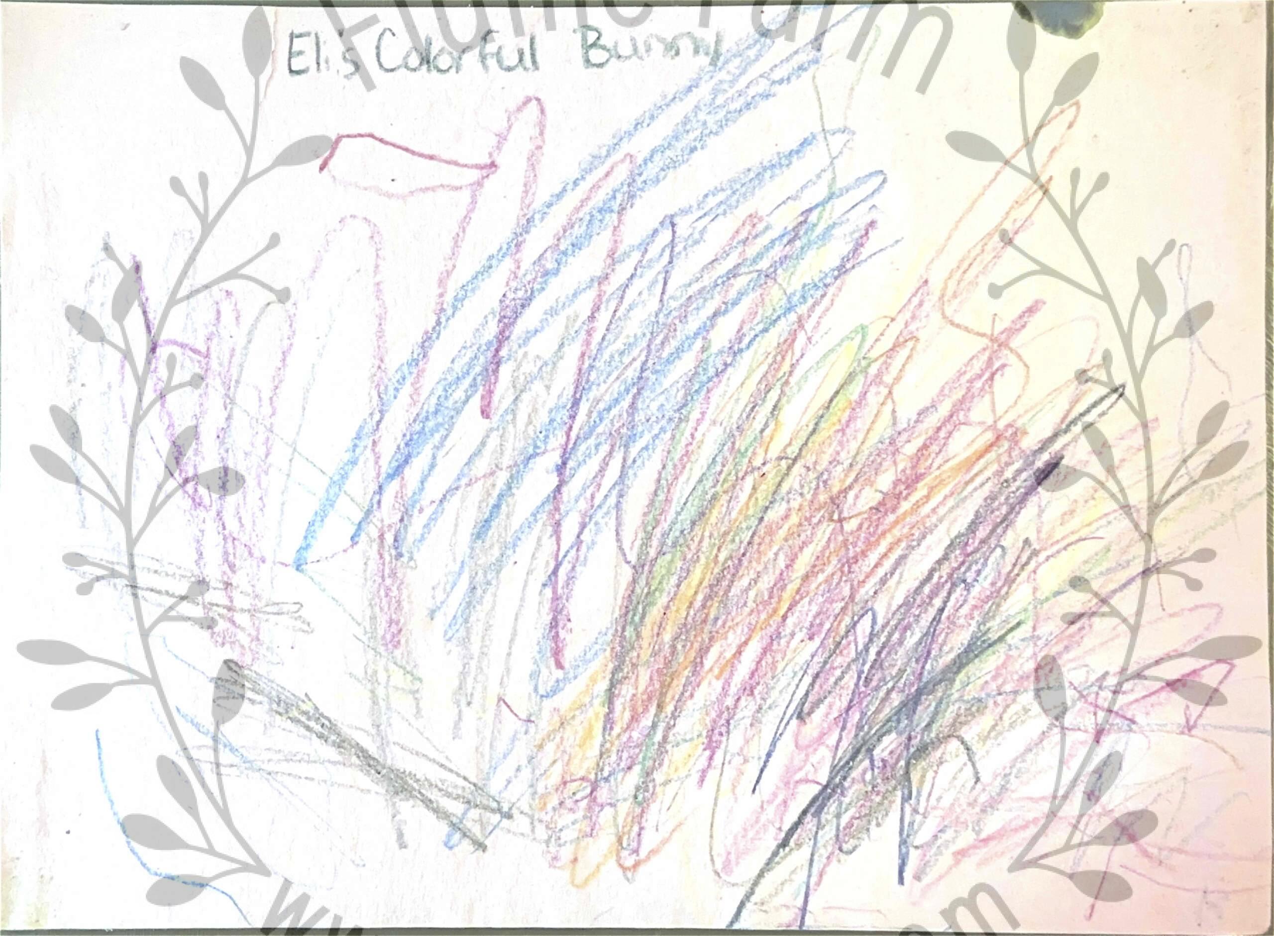 netherland dwarf rabbit near me