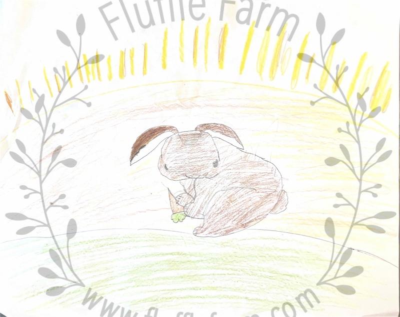 rabbit for sale near me