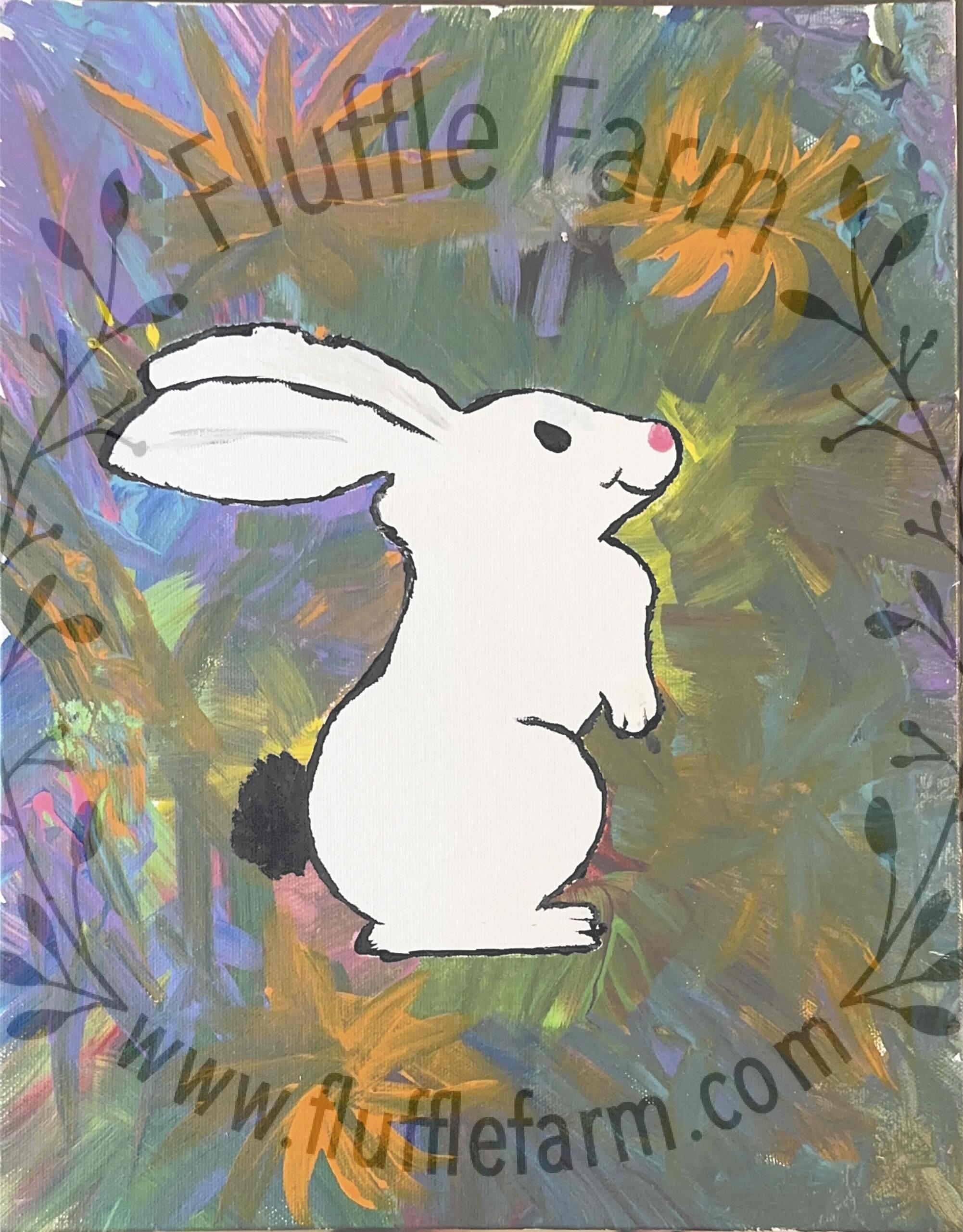 netherland dwarf rabbit near me