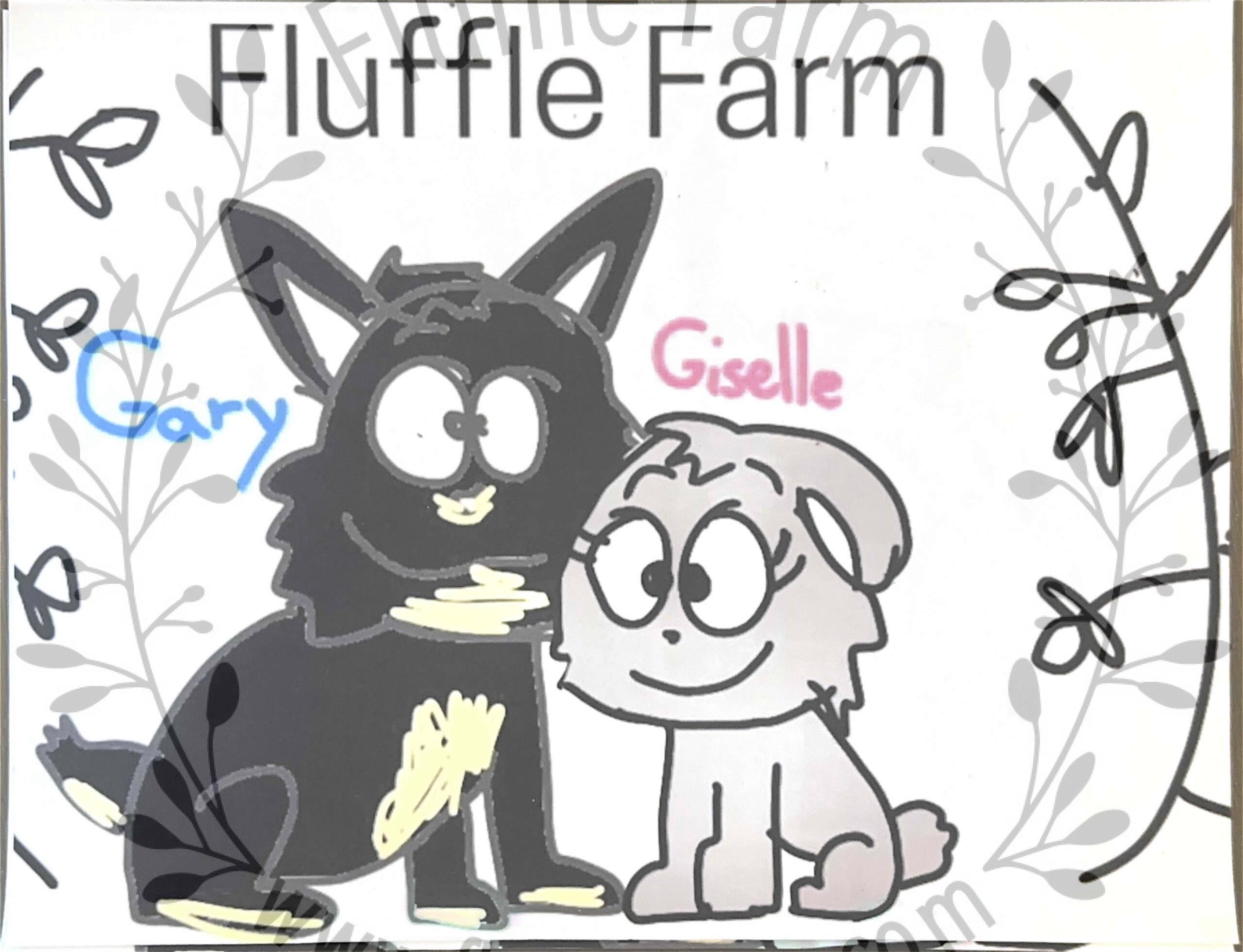 netherland dwarf rabbit near me