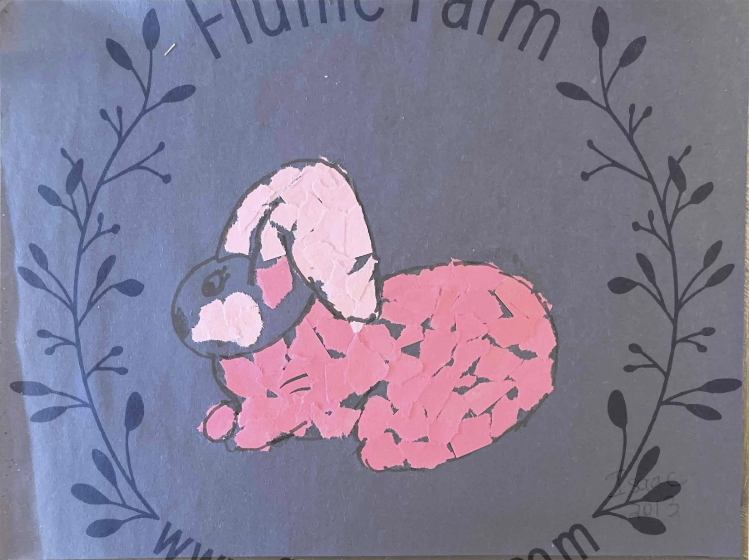 holland lops near me in florida