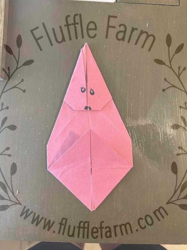 bunny rabbit for sale near me