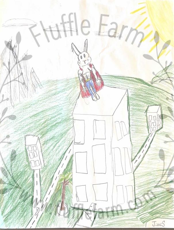 holland lop near me in florida