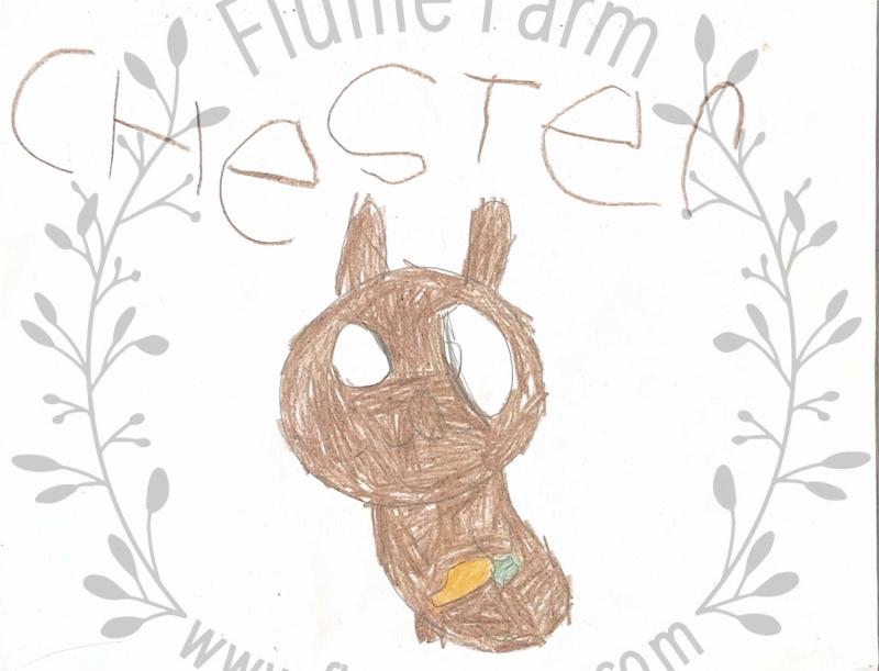 holland lop near me in florida