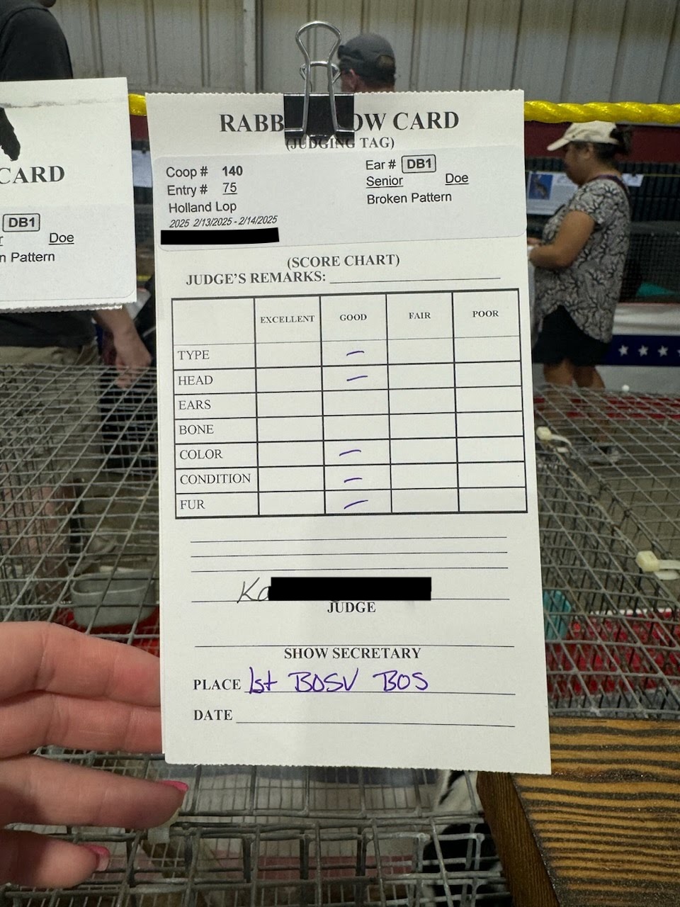 fluffle farm show placements