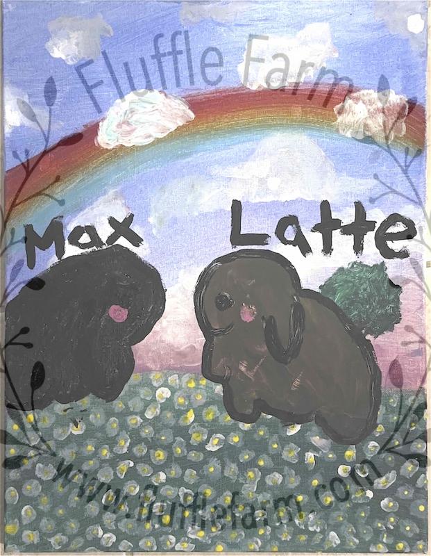 holland lop near me in florida