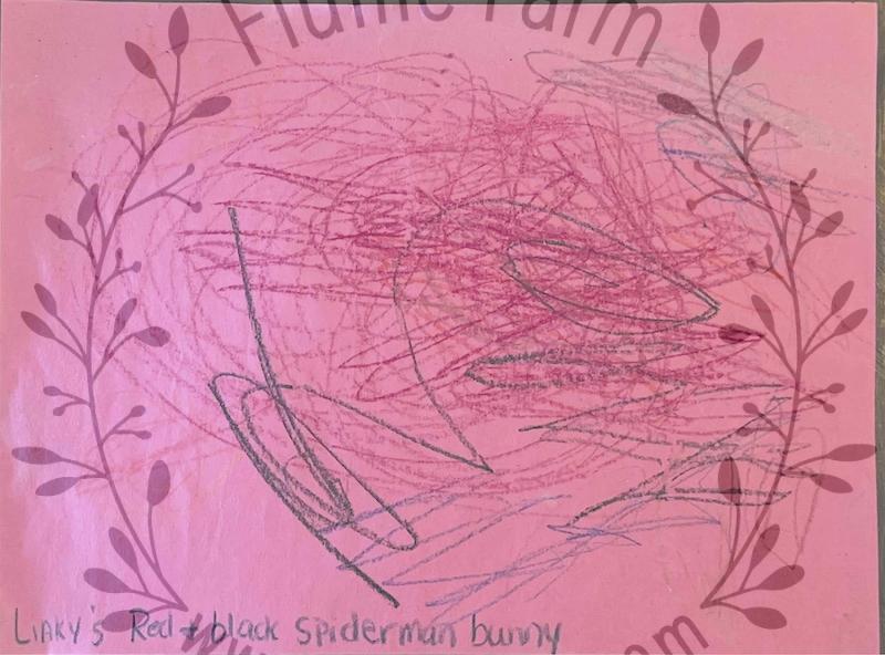 netherland dwarf near me in florida