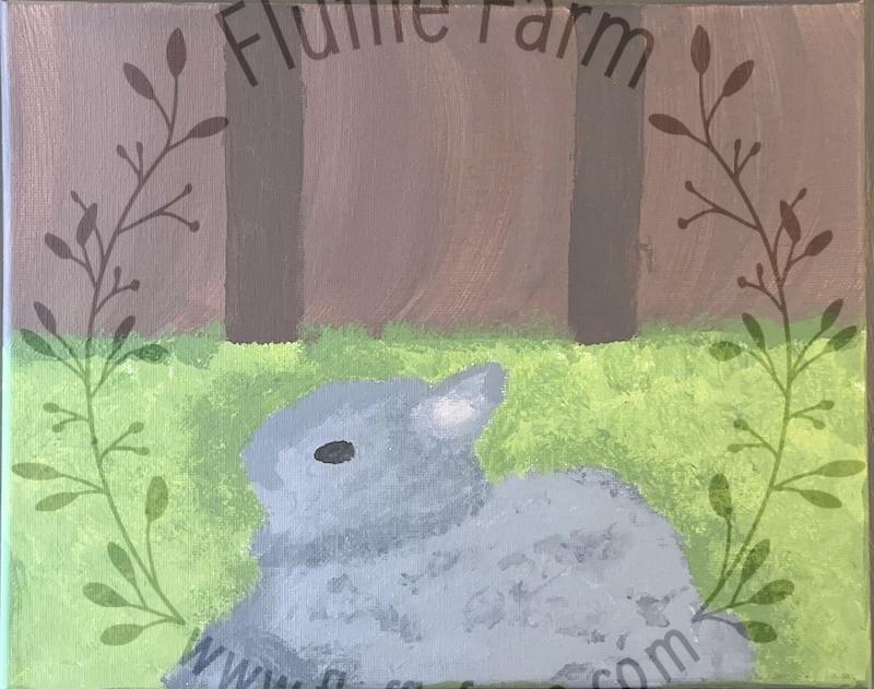 netherland dwarf near me in florida