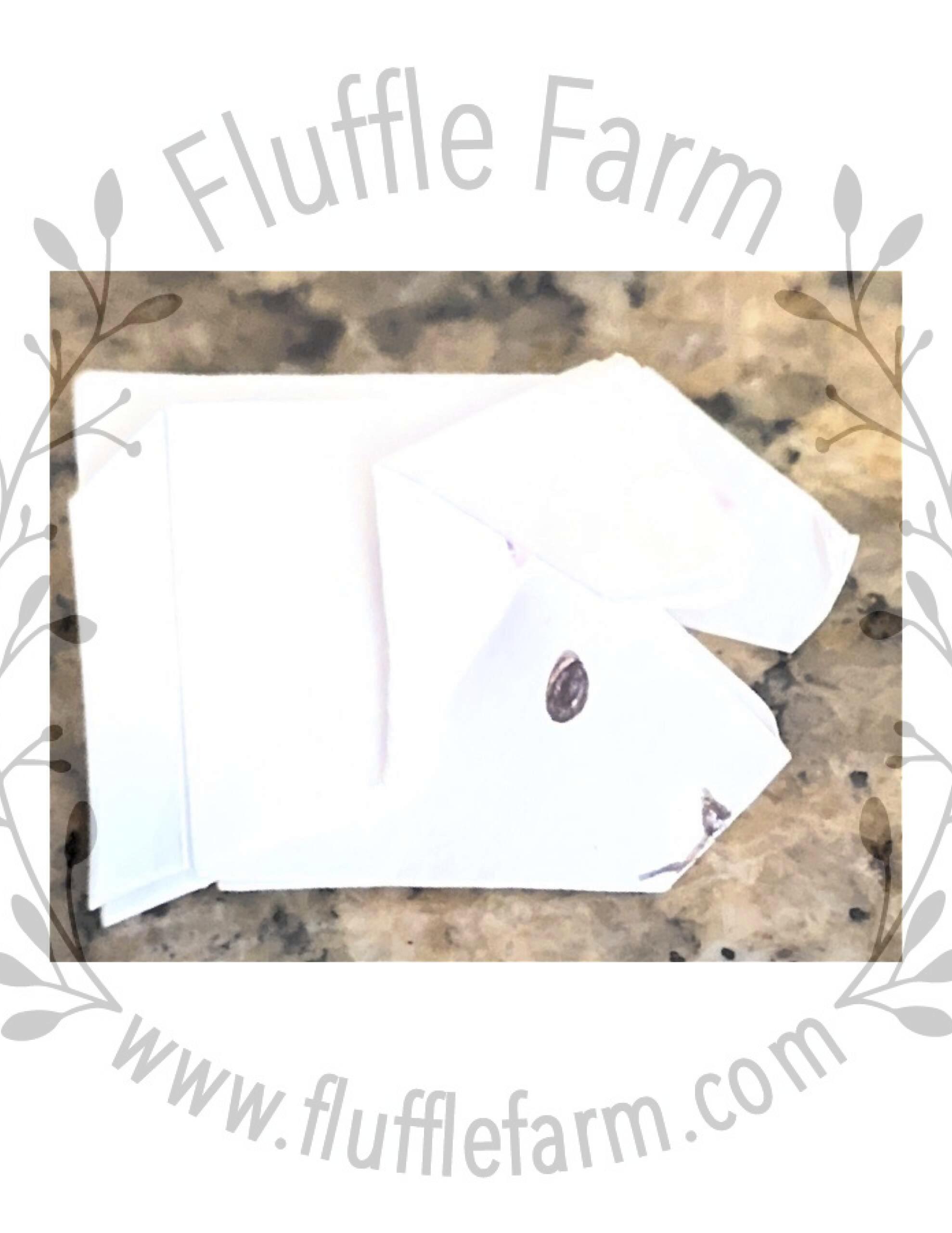 netherlands dwarf bunny in lakewood ranch florida