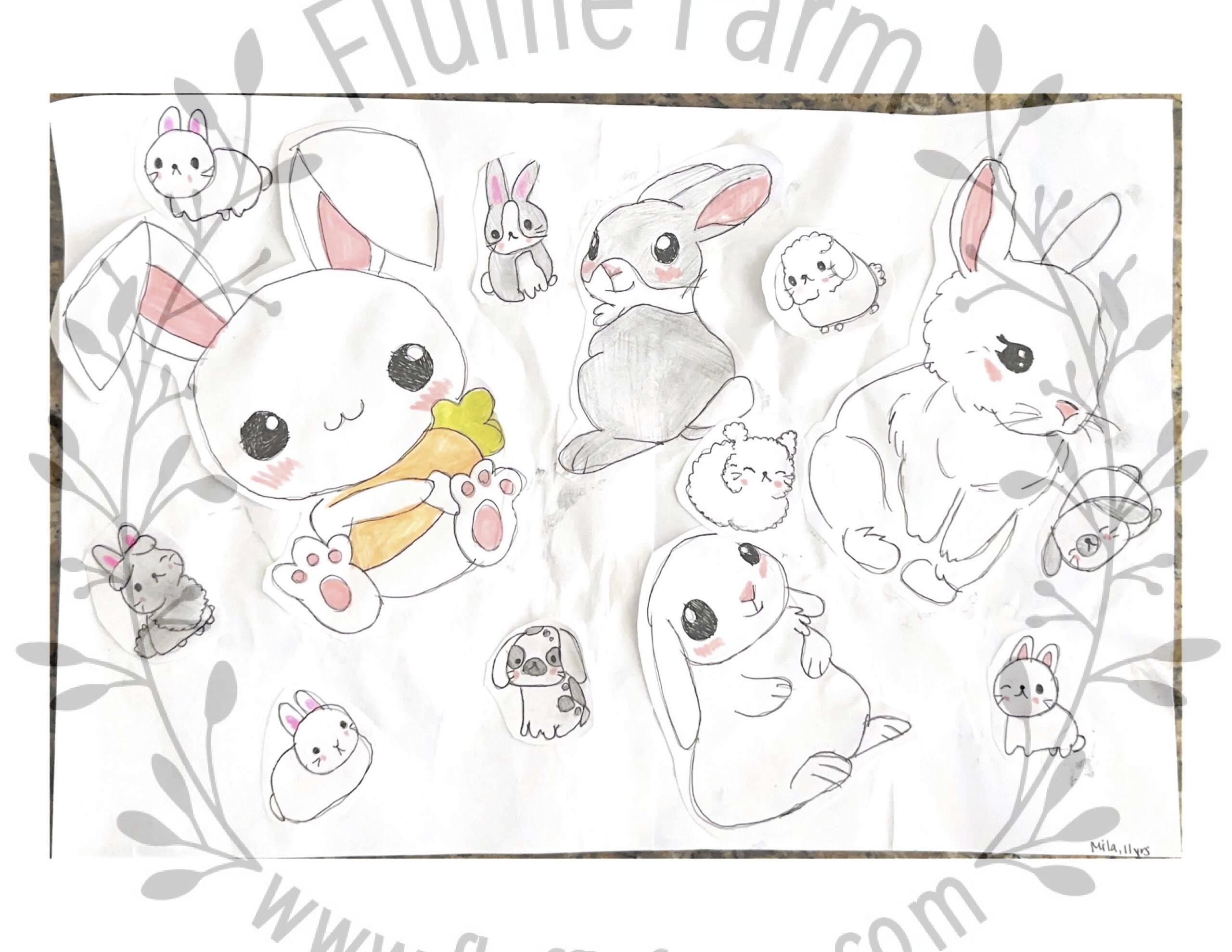 netherlands dwarf bunny in lakewood ranch florida