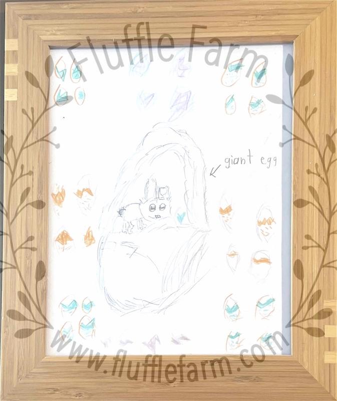 dwarf rabbits near me