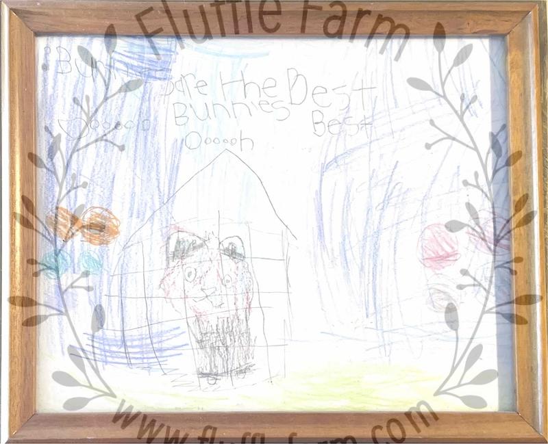 dwarf rabbits near me