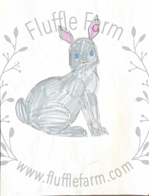 dwarf rabbits near me