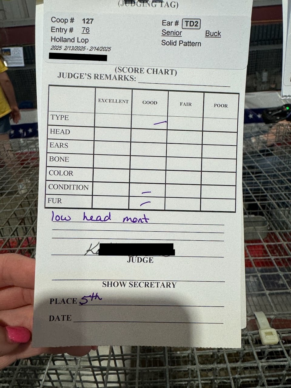 fluffle farm show placements