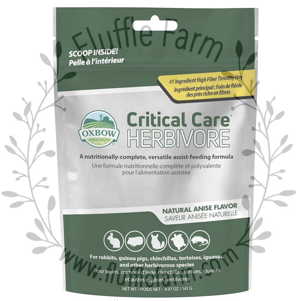 What to Have in Your Bunny Rabbit First Aid Kit - Fluffle Farm