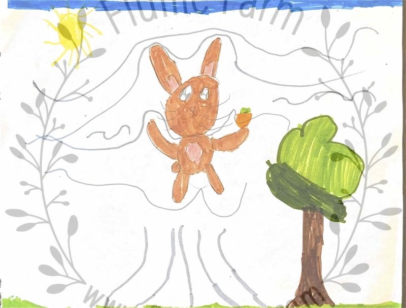 holland lop bunny rabbits near me