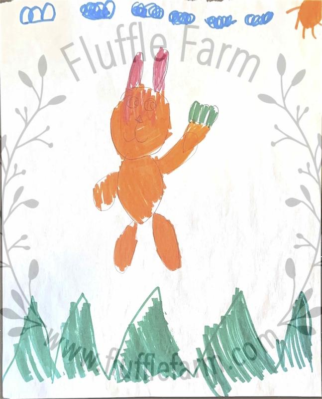 holland lop bunny rabbits near me