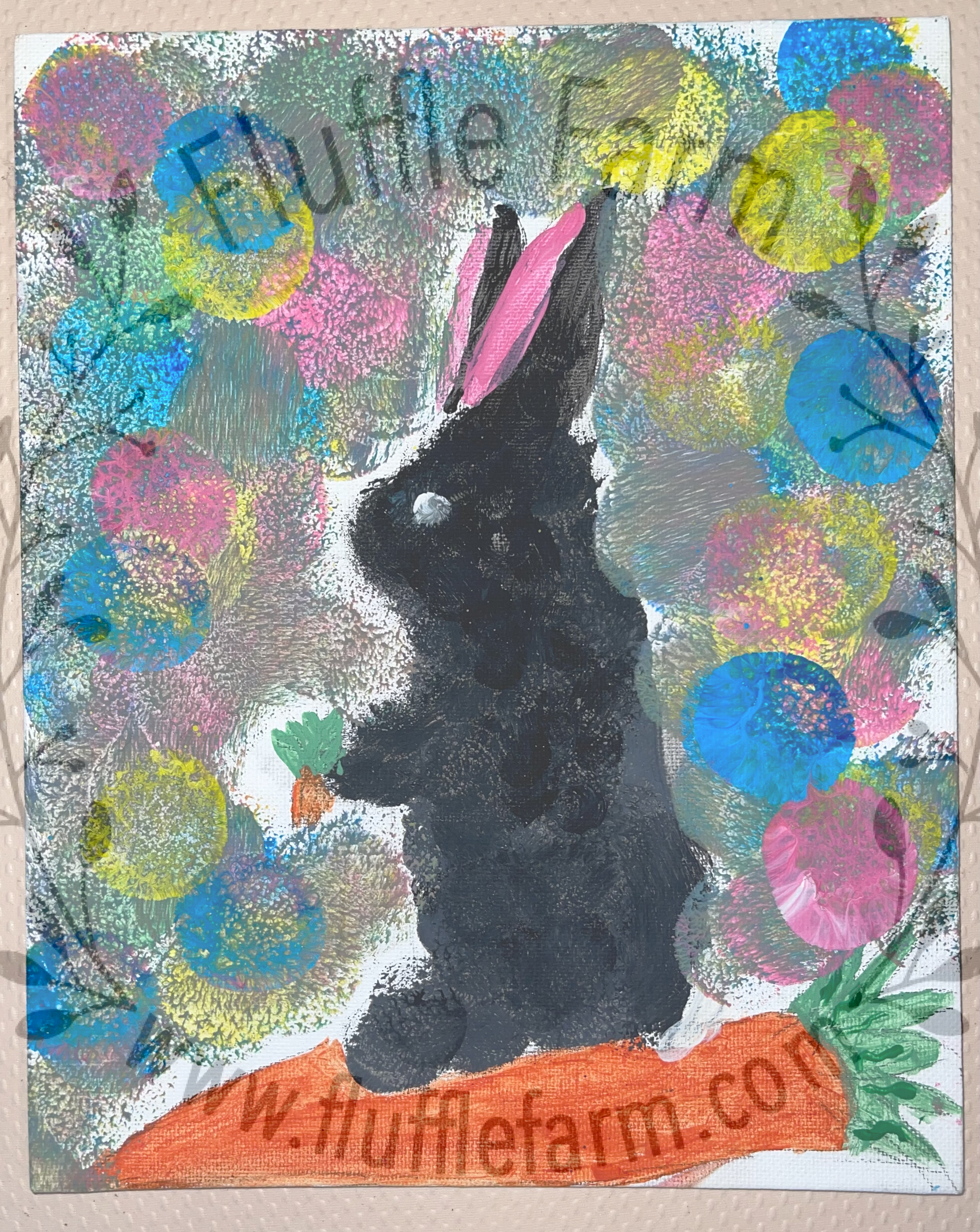 lionhead bunny in lakewood ranch florida