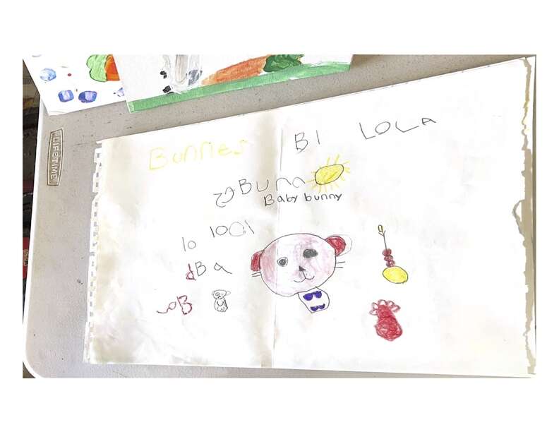 lionlop in bradenton florida