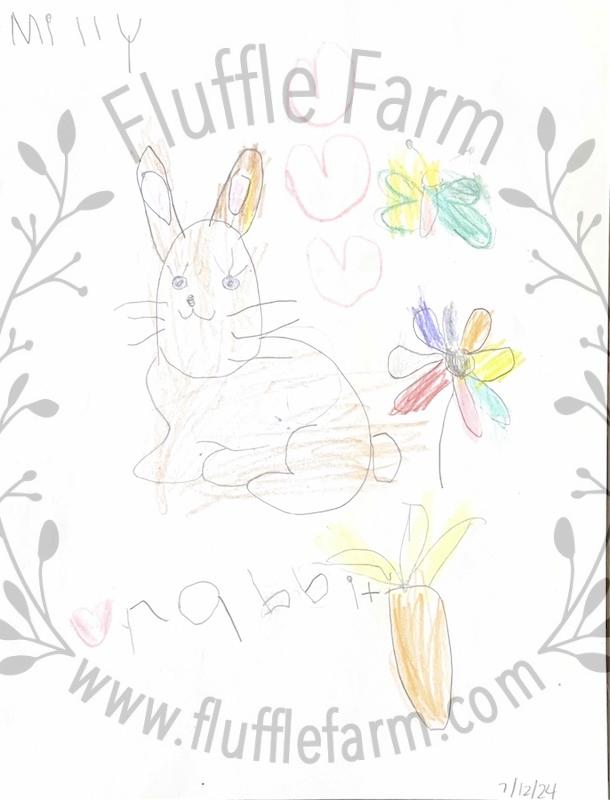 dwarf rabbits near me