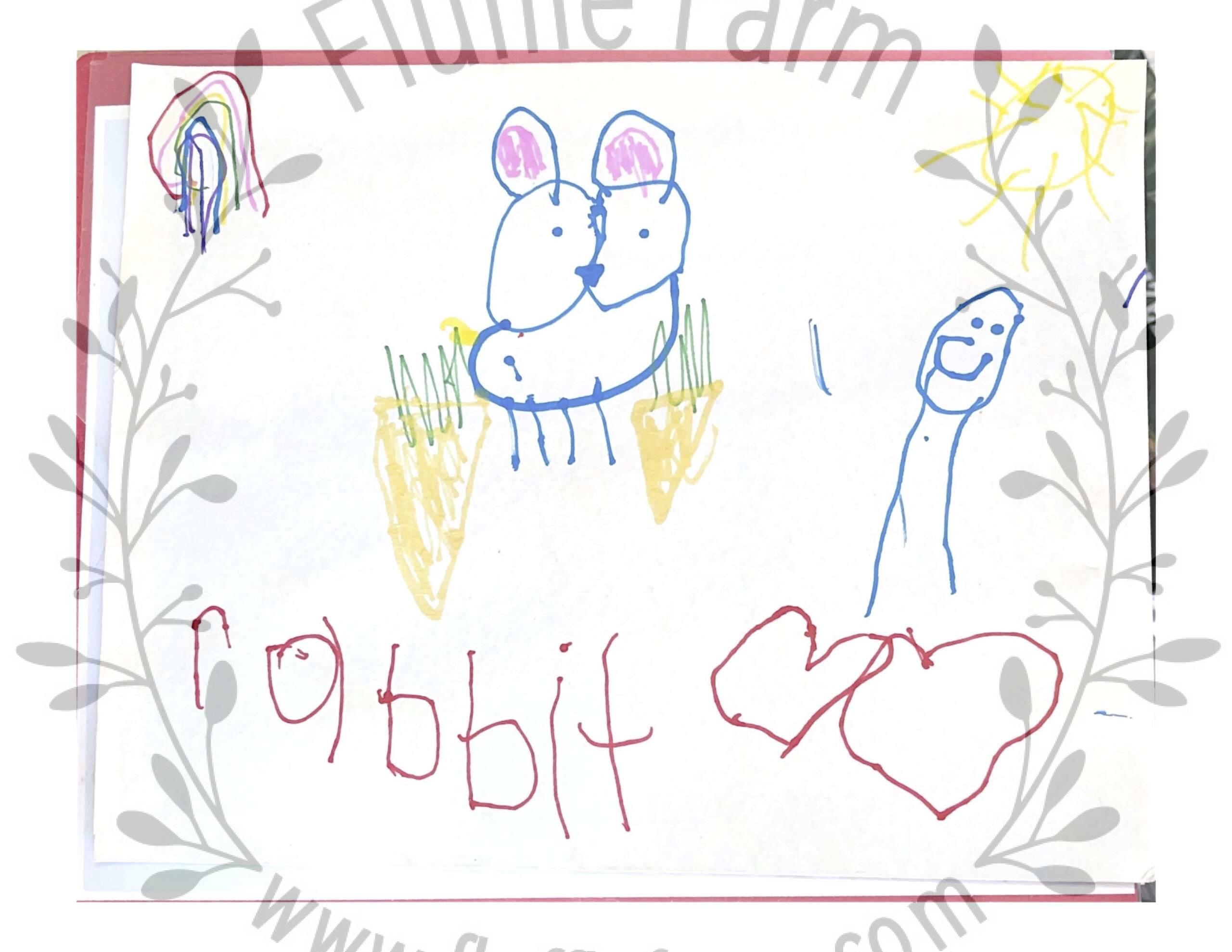 holland lop bunny in lakewood ranch florida