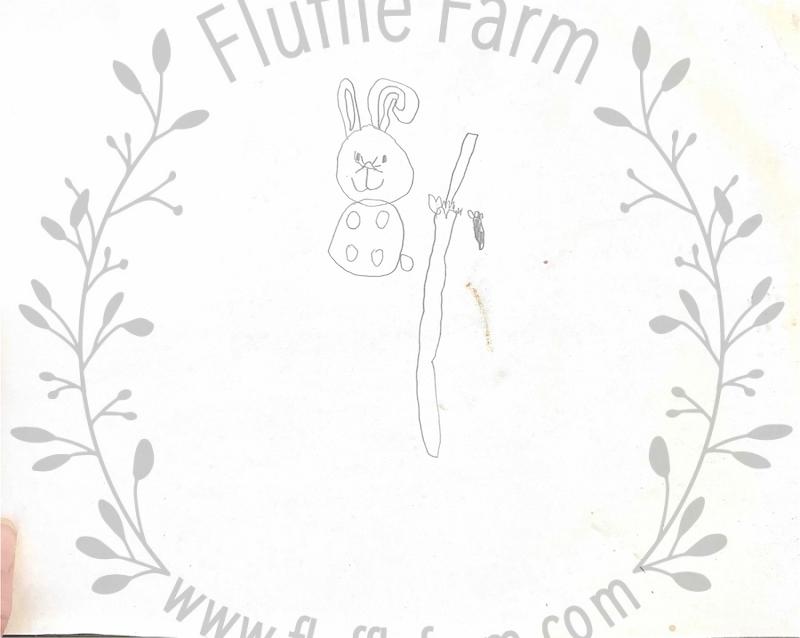 holland lop bunny rabbits near me