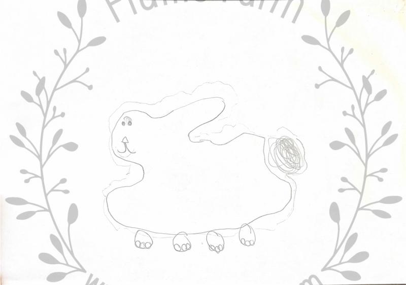 holland lop bunny rabbits near me