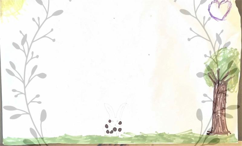 holland lop bunny rabbits near me